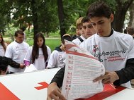 Общественная организация "Голос Грузии - За Честные Выборы!" 