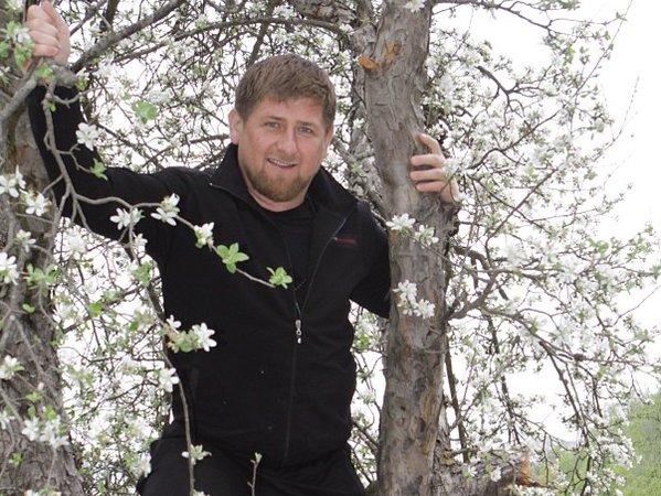 Кадыров в окружении цветущих деревьев