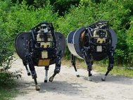 Военные транспортные роботы LS3, разрабатываемые американской компанией Boston Dynamics. LS3 может нести груз массой до 180 кг по пересеченной местности и управляется голосовыми командами - например, "за мной". Фото: DARPA
