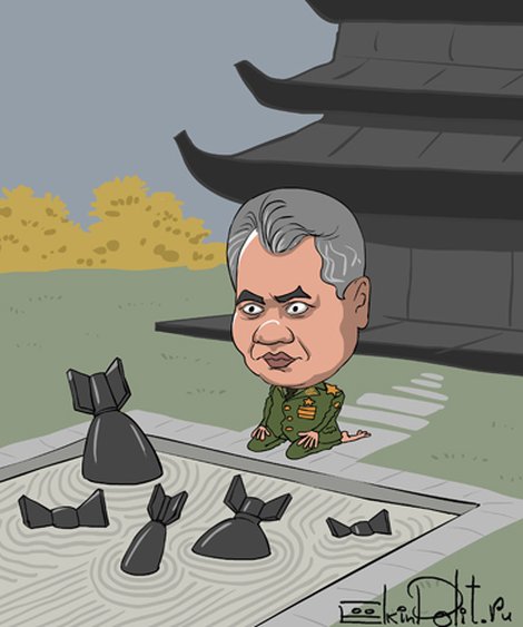 dom_shoygu77.jpg.470x530_q85_crop-scale_