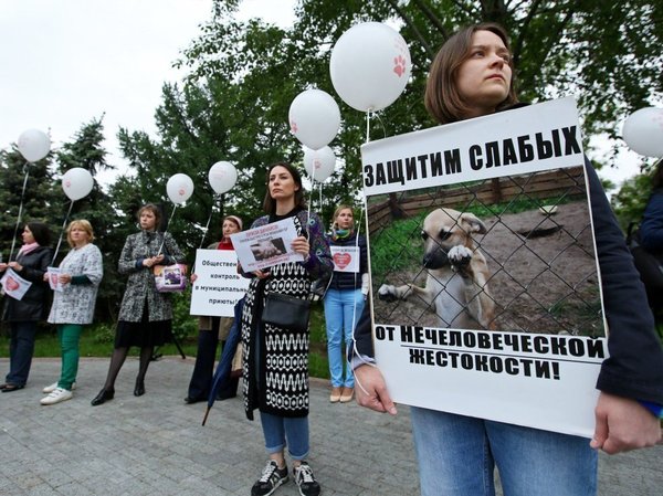 Митинг зоозащитников в Москве.