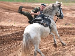 Десантник на белом коне
