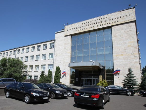 «Расскажи чатику»