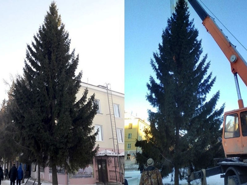 «Расскажи чатику»