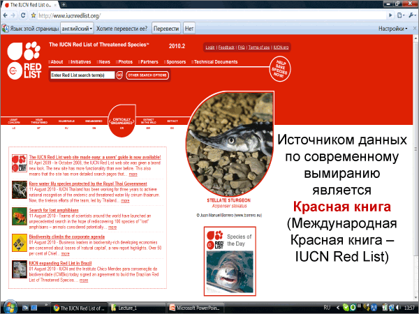 (СЛАЙД 6) Лекция Леонарда Полищука