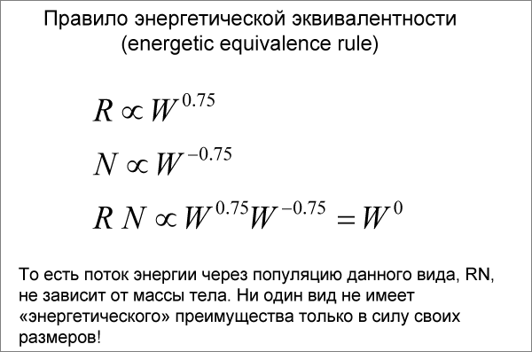 (СЛАЙД 23) Лекция Леонарда Полищука
