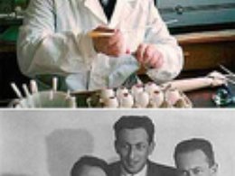 Николай Каверин в своей лаборатории. На нижнем фото братья Вениамин, Давид, Александр и Лев с матерью Анной Григорьеевной (нач. 1930-х гг.)