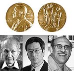 Изображение Нобелевской медали по химии (с сайта Нобелевской премии)