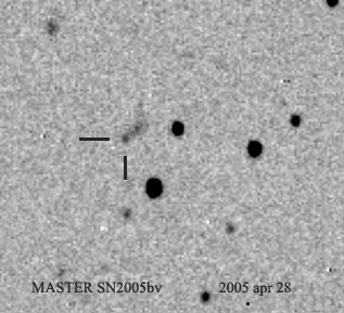 Вторая сверхновая, открытая МАСТЕРом 25 августа 2005 (IAUC 8603). Фото observ.pereplet.ru