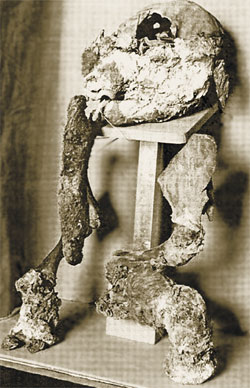 «Мамонтёнок Гоша». Возраст — один-два месяца. Хранится в музее Института благородных металлов и алмазов РАН