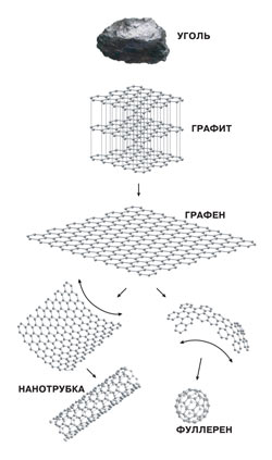 Графен — одна из аллотропных форм углерода. Впервые был получен поэтапным отшелушиванием тонких слоёв графита. Графен, сворачиваясь, образует нанотрубку или фуллерен.