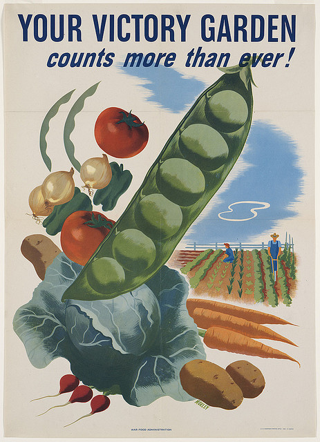 Morley Hubert, 1943 год