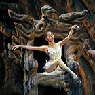«Лебединое озеро». Балет Шанхая. Фотография Наташи Четвериковой