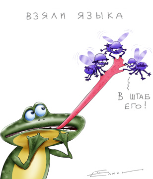 Елкин