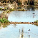 Земли Луары