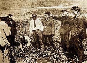 Т.Д. Лысенко (второй справа) осматривает посадки картофеля «яровизированными» клубнями на огородах рабочих шахты им. Кагановича (1935)