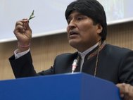Президент Боливии Эво Моралес демонстрирует листочек коки на конференции ООН по наркотикам в 2009 году