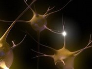 Передача сигнала между нейронами посредством синапса. Илл.: Emily Evans/Wellcome Images