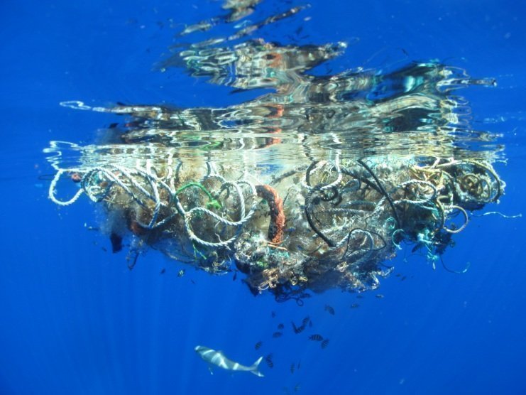 Большое тихоокеанское мусорное пятно состоит преимущественно из пластика