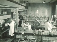 Химическая лаборатория Университета Айовы, 1930-е гг. Фото: Frederick Wallace Kent