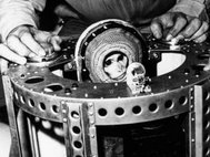 Альберт-2, запущенный ВВС США в космос 14 июня 1949 г.