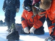 В Восточной Антарктике обнаружен один из крупнейших метеоритов, когда-либо найденных в этом регионе
