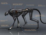 Робот-гепард Cheetah