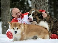 Путин играет с собаками — акиту-ину Юмэ и болгарской овчаркой Баффи