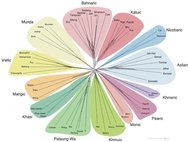Вариант родословного древа австроазиатской семьи языков по данным лексикостатистики