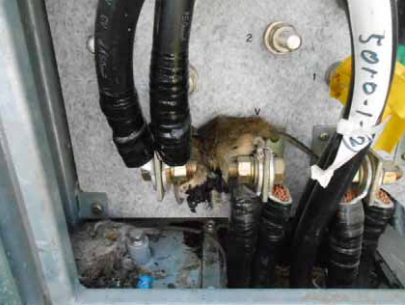 Мертвая мышь в щитовой на АЭС «Фукусима-1»