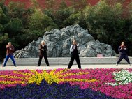 Жители Пекина занимаются гимнастикой в парке