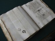 Отпечатки кошачьих лап на манускрипте