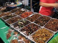 Прилавок с жареными насекомыми в Таиланде