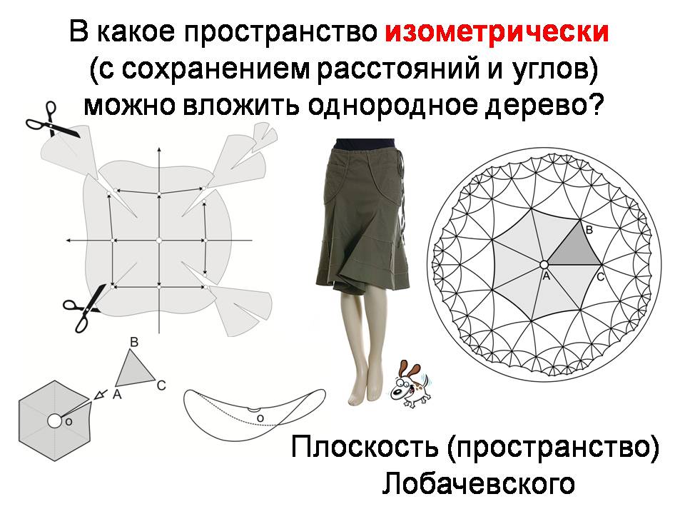 Геометрическая система неевклидова геометрия