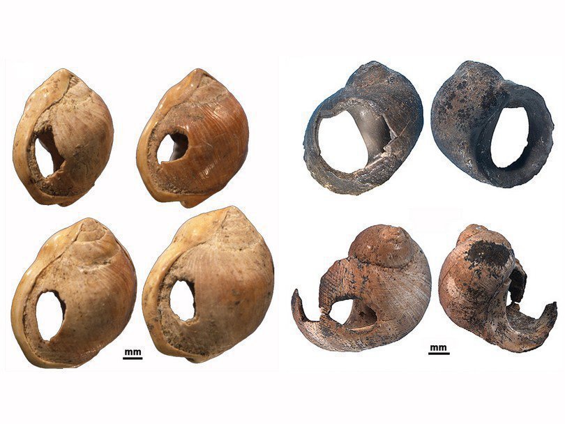 Украшения из раковин, найденные в пещере Бломбос (слева) и в Сибуду