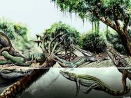 По крайней мере 7 видов крокодилов сосуществовали в районе реки Урунако в миоцене