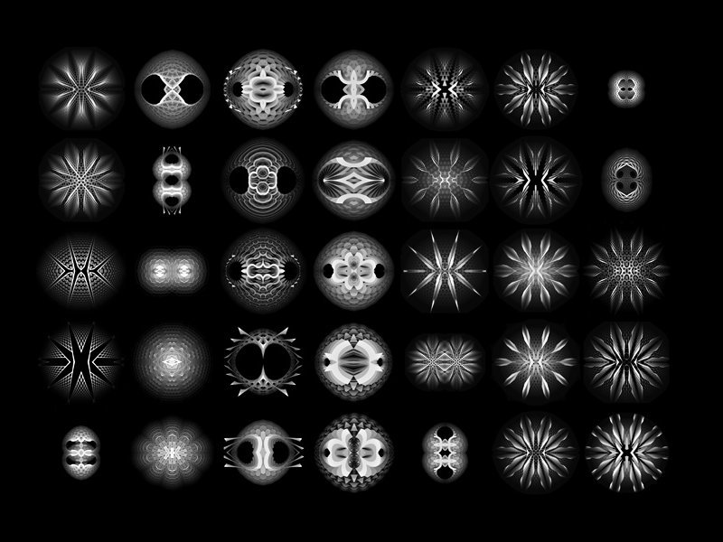 Paul Prudence. Autotrophs (Morphogenetic Sequence1), 2009 год