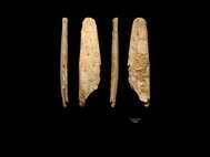 Костяные орудия неандертальцев