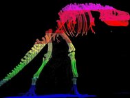 Тарбозавр - высокоточная цифровая модель