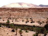 Сухое русло реки («вади») в Марокко