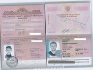 Паспорта Алексея Наваольного