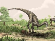 Ньясазавр - возможно, первый представитель динозавров из известных науке
