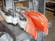 Процесс переработки рыбы