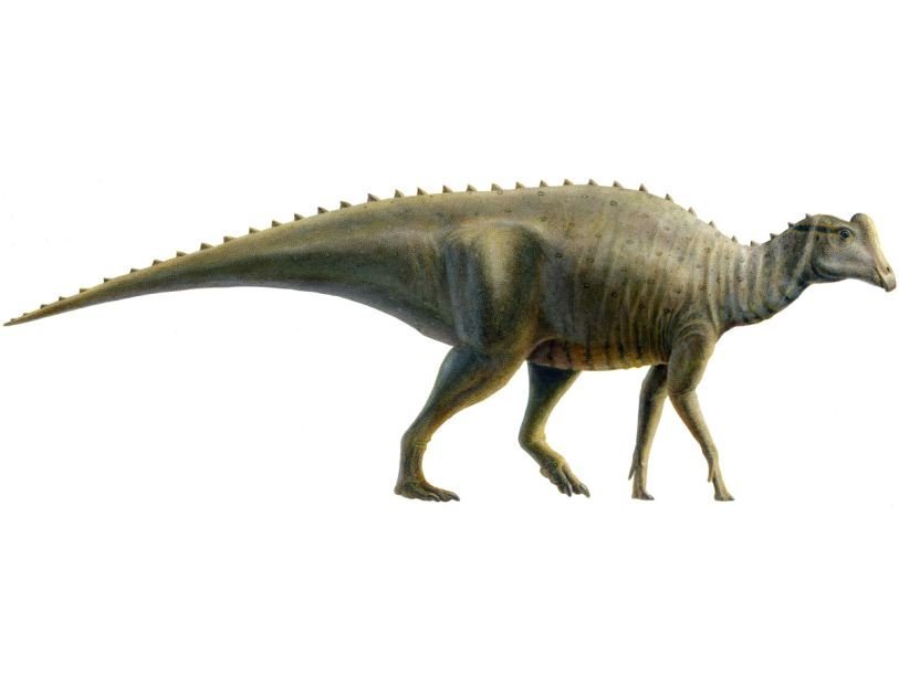 Dinosaur Joe