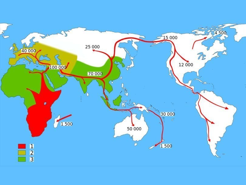Карта ранних миграций человека. 1 - неандертальцы, 2 - Homo sapiens, 3 - ранние гоминиды