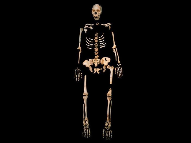 Скелет из пещеры Сима де лос Уэсос