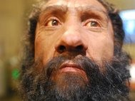 Homo neandertalensis, реконструкция из Смитсоновского музея естественной истории
