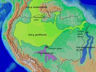 Карта распространения речных дельфинов в Южной Америке
