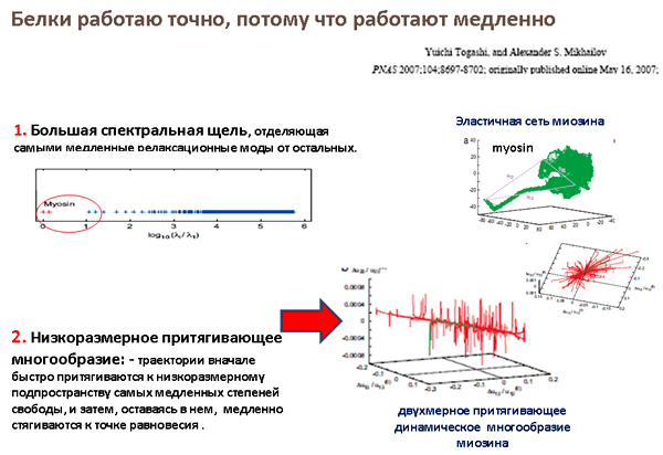 Типы молекулярных машин