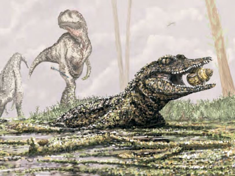 Koumpiodontosuchus aprosdokiti, реконструкция